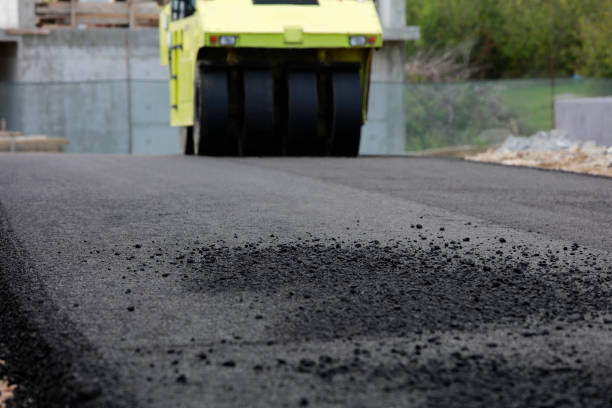 Best Driveway Pavers Near Me  in Wilkinson Heights, SC