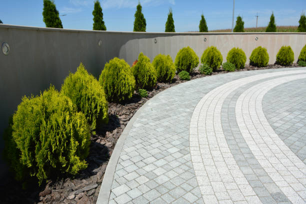 Best Cobblestone Driveway Pavers  in Wilkinson Heights, SC